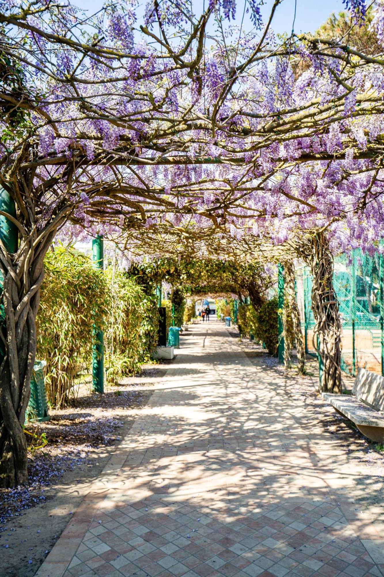 Regina - Marepineta 4* Milano Marittima